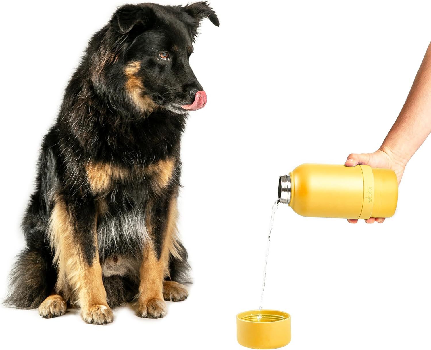 Ubbi Pup & Me Insulated Stainless Steel Dog Water Bottle with Attached Bowl, 32 oz Portable Leakproof Travel Bottle for Dogs and Owners, Yellow