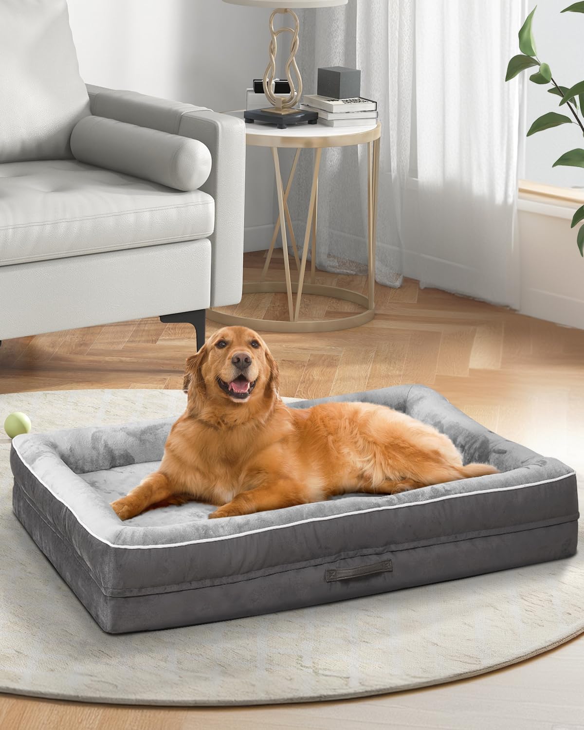 Upvilla Orthopedic Dog Bed, Four-Sided Cushioned Egg-Shaped Foam Dog Sofa, Waterproof Removable Cover, Pet Sofa Bed with Non-Slip Base, X Large Pet Bed,Gray